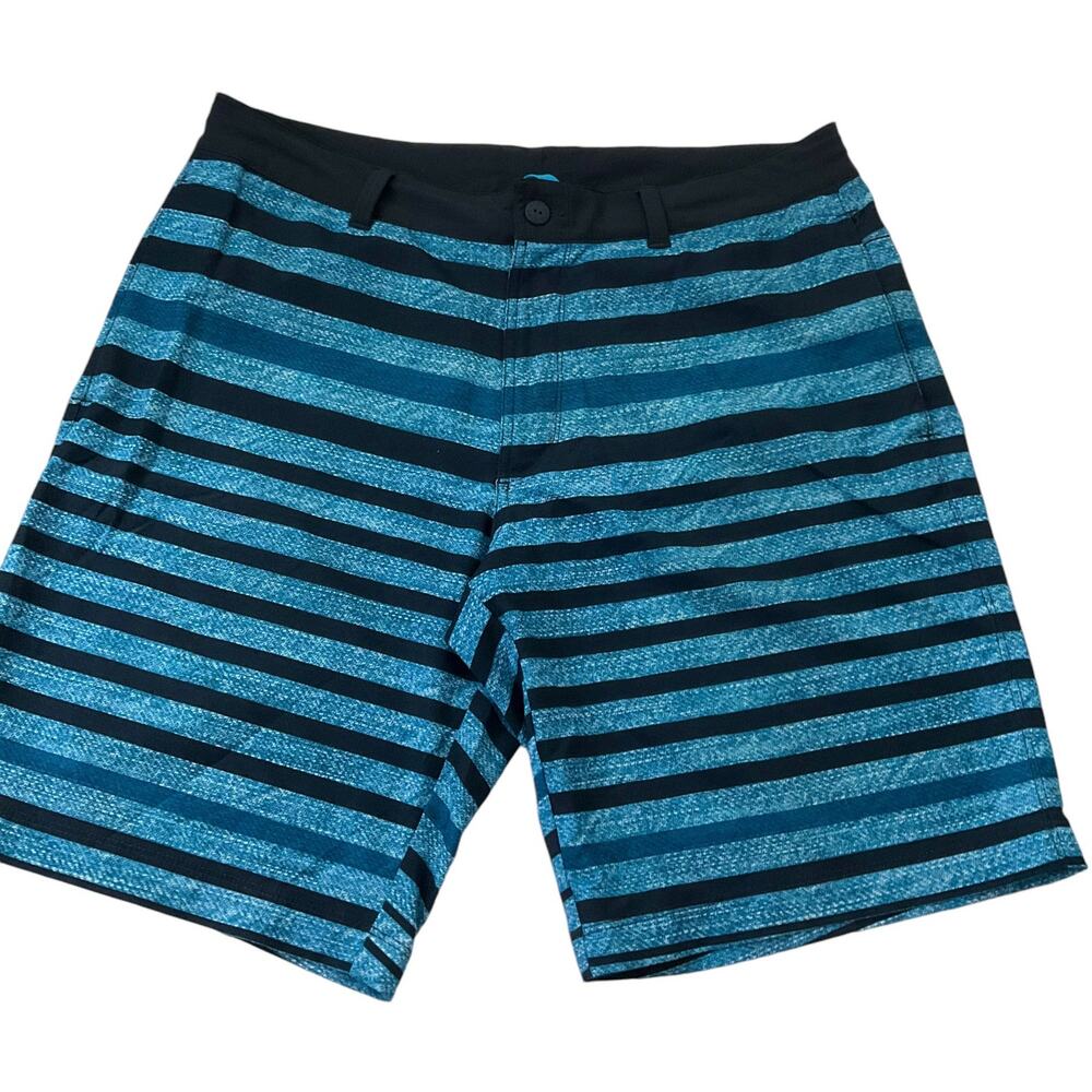 The North Face Blue Stripe Shorts Men Size 36 | 41-68